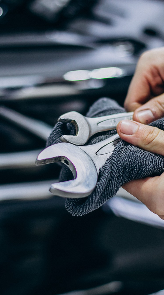 Expert mechanic giving advice
